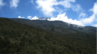 kilimanjaro-climate-zones-alpine