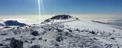 kilimanjaro success rates