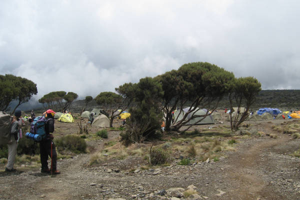 shira camp kilimanjaro