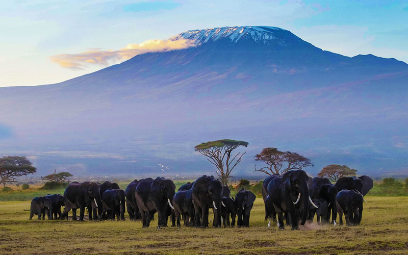 Kilimanjaro-National-Park