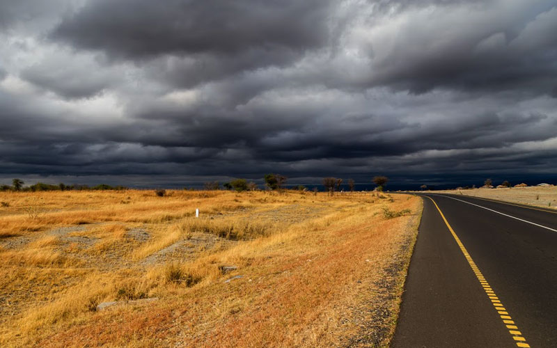what-is-the-best-time-to-go-on-safari-in-tanzania what-is-the-best-time-to-go-on-safari-in-tanzania