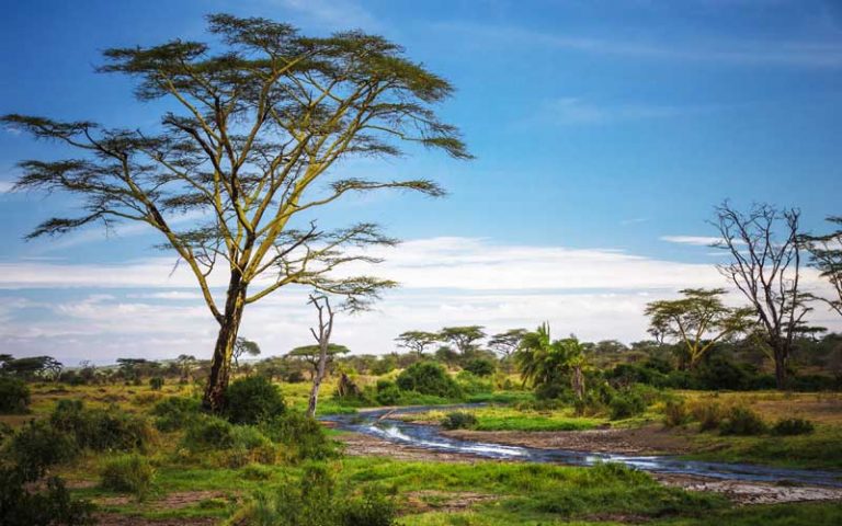 Best time to visit Serengeti