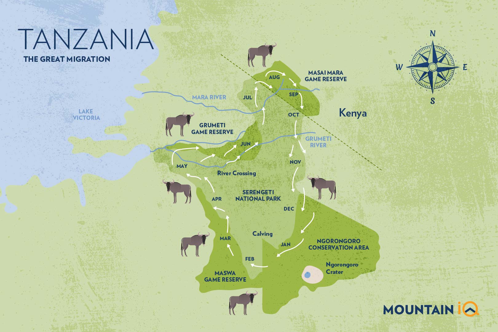 Great Wildebeest Migration Map