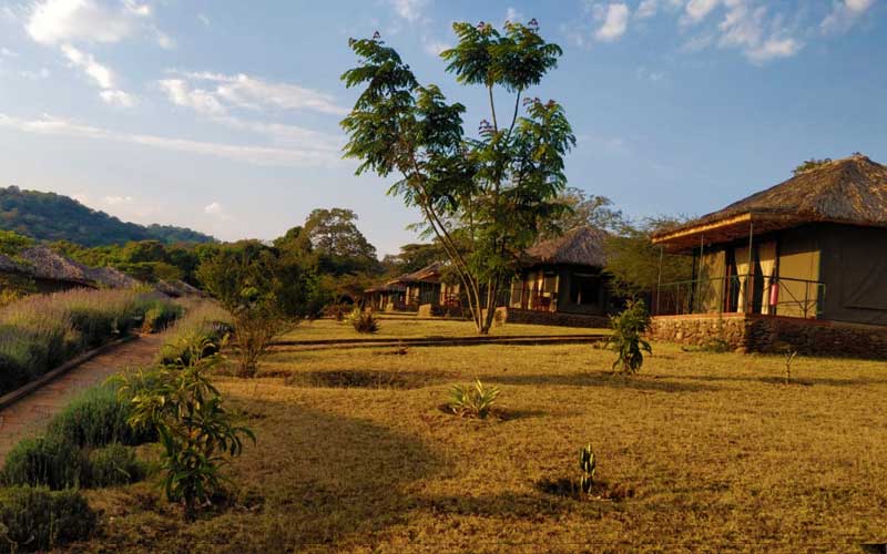 Sarari-Lodges-Tanzania