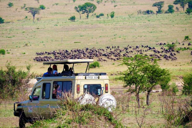 Tanzania-safari-cost