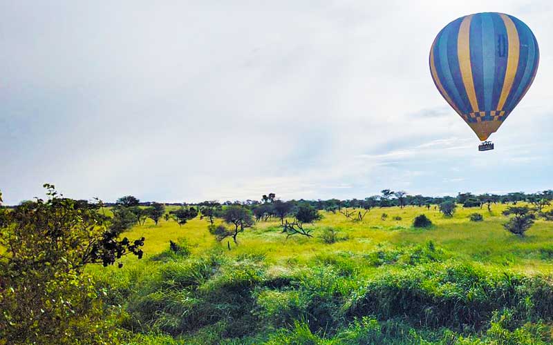 Air-Balloon-Safari-Serengiti