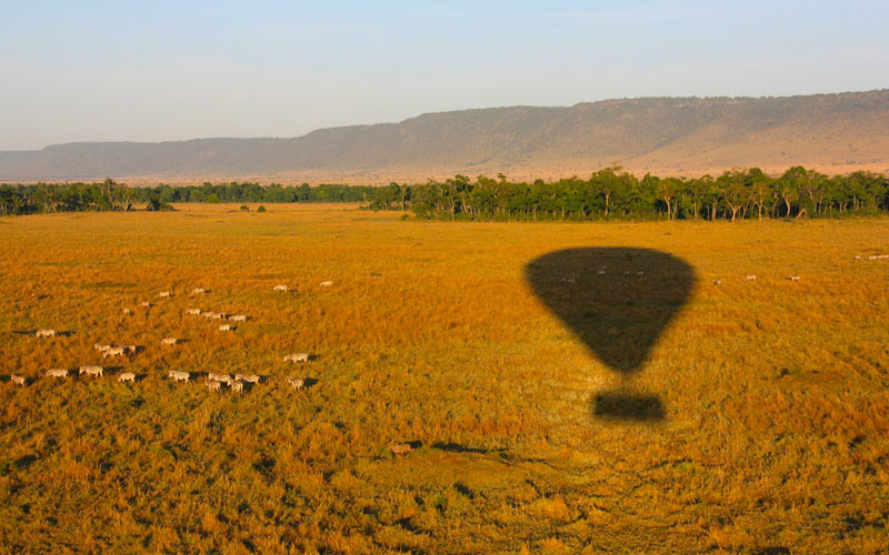 Air-balloon-safari-zebras