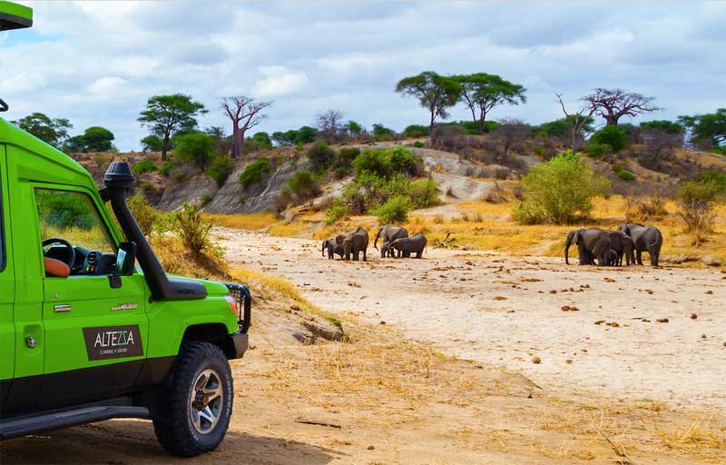 best safari companies in tanzania