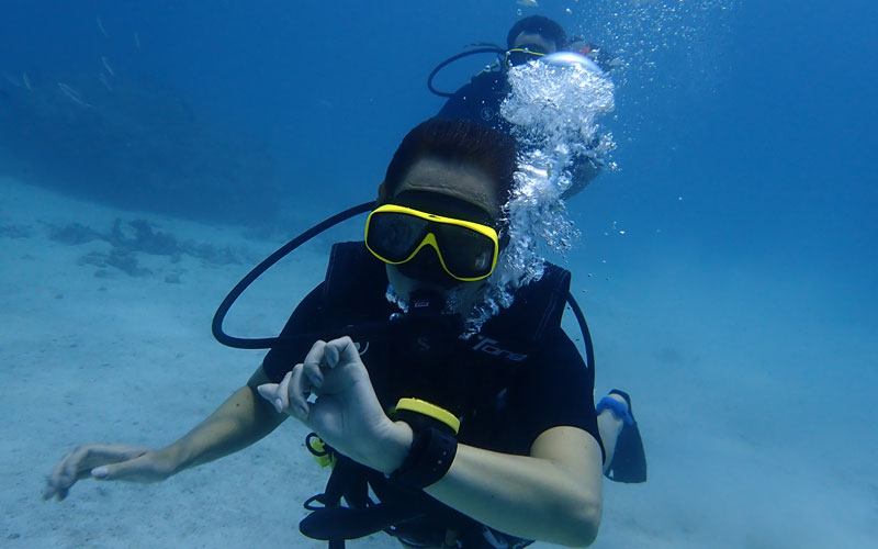 zanzibar diving