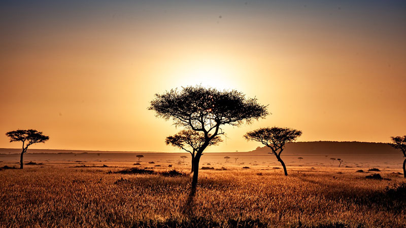 Dry-season-safari-plain
