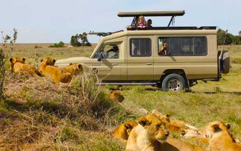 safari tours manufacturer