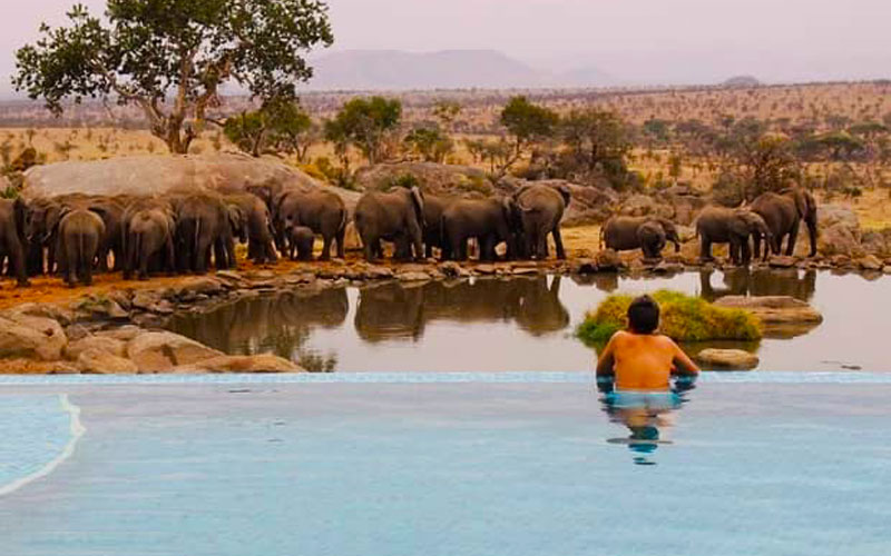 Four Seasons Serengeti Safari Lodge