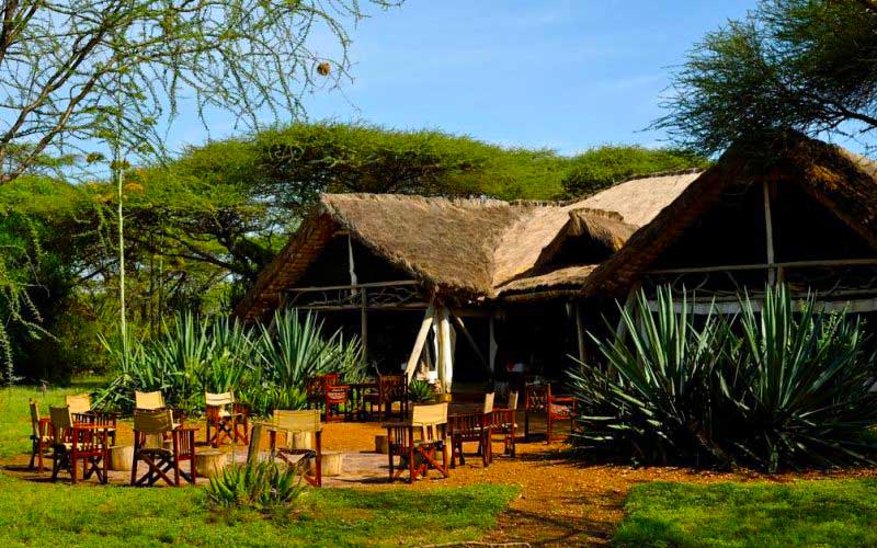 Ikoma-Safari-Camp Ikoma Safari Camp