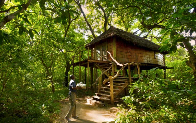 Lake-Manyara-Tree-Lodge-House