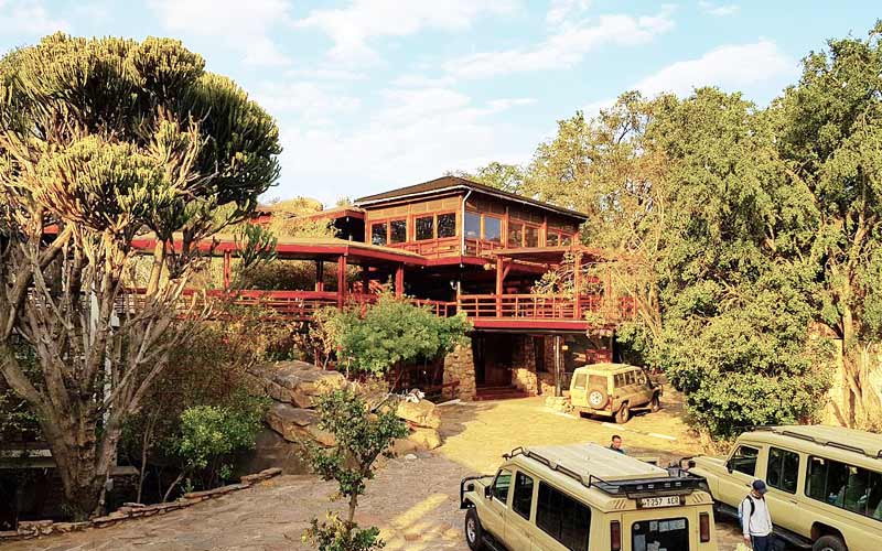 Lobo Wildlife Lodge