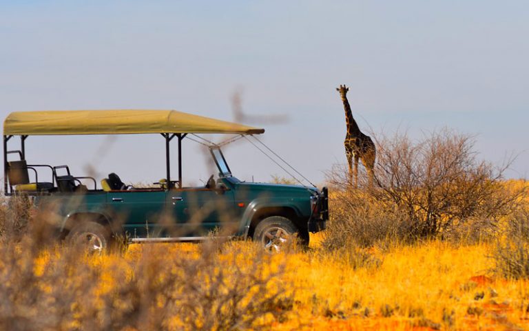 luxury tanzania safari
