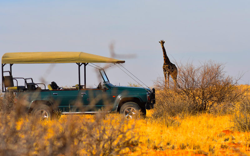 luxury tanzania safari