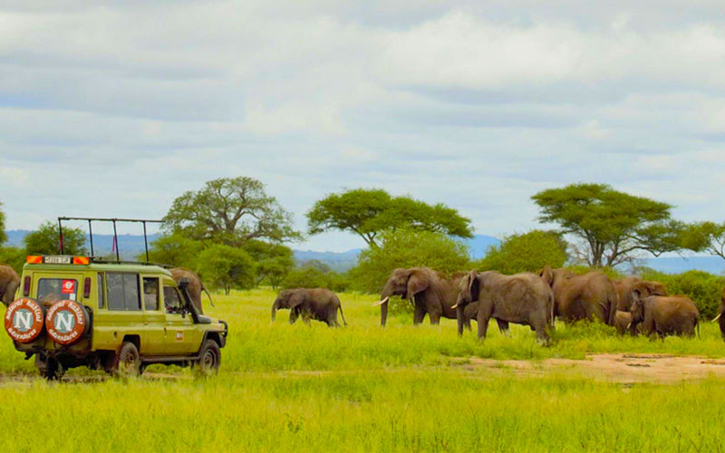 Natural-Habitat-Adventures