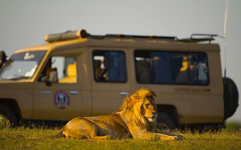 best safari companies in tanzania