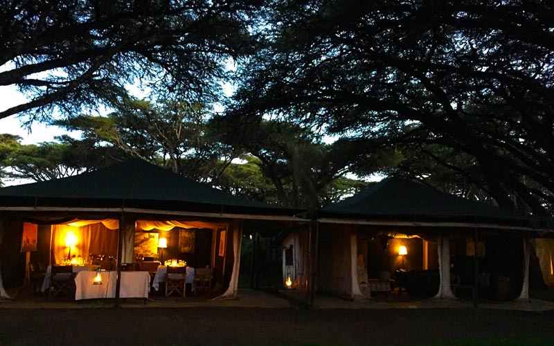 Sanctuary-Ngorongoro-Crater-Camp-Two-Tents