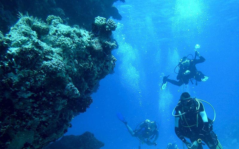 Underwater-diving-Zanzibar