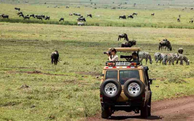 safari companies tanzania