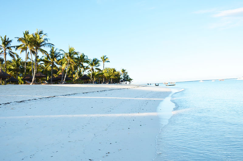 Zanzibar Beach Bwejuu Beach