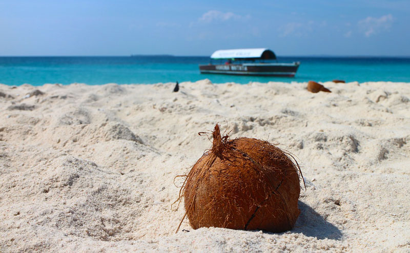 coconut-boat-beach-zanzibar