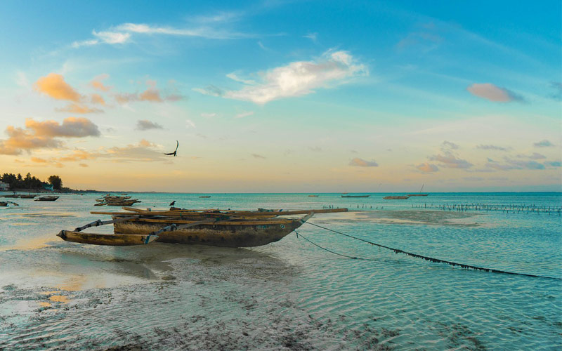 Kizimkazi-Beach-Zanzibar-Beach