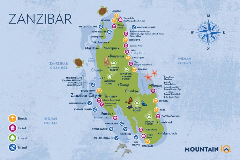 Diving In Zanzibar Your 1 Revolutionary Guide