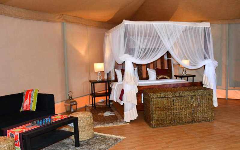 Serengeti Safari Lodge Room