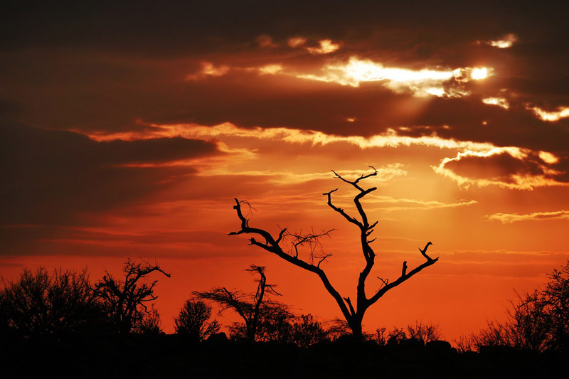 Sunset-in-Africa-Tanzania-Safari