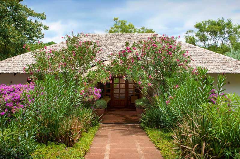 The-Plantation-Lodge-Ngorongoro-Hotels