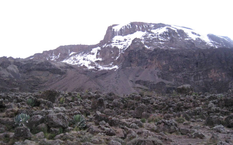 high alpine region kilimanjaro