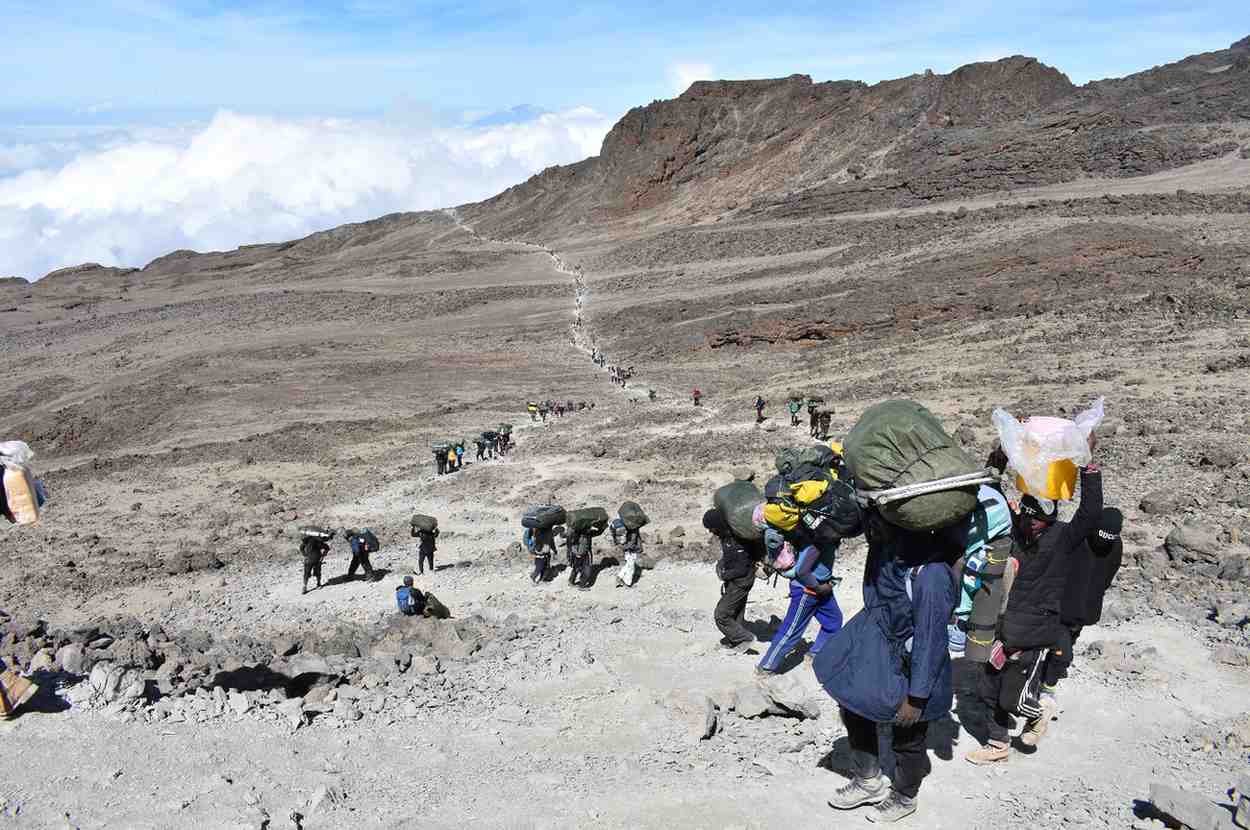 kilimanjaro high alpine zone