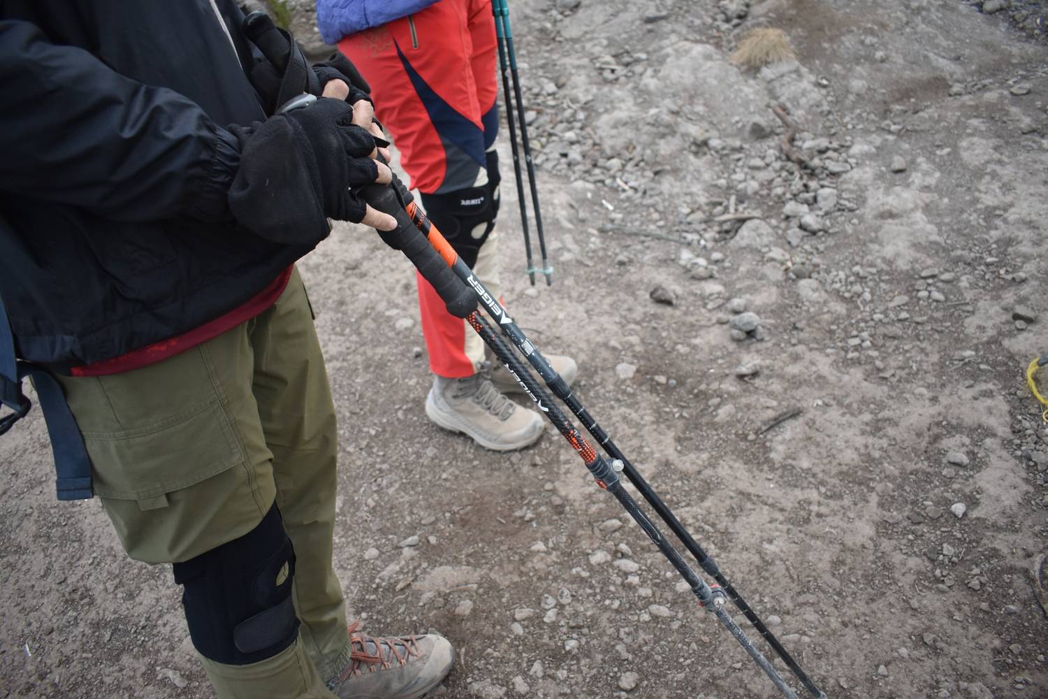 trekking poles