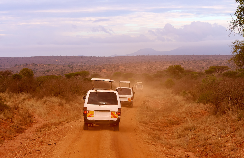 FAQs - Mandatory Insurance and Buying Safari Cover in Tanzania FAQs - Mandatory Insurance and Buying Safari Cover in Tanzania