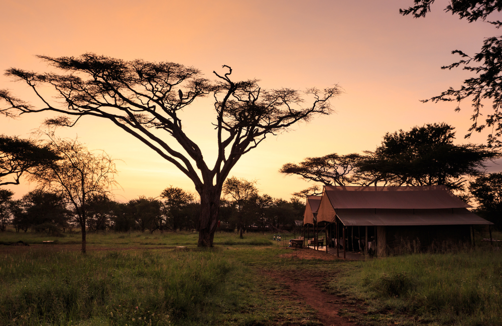 How Rise & Shield Fits Into My Planning How Rise & Shield Fits Into My Planning