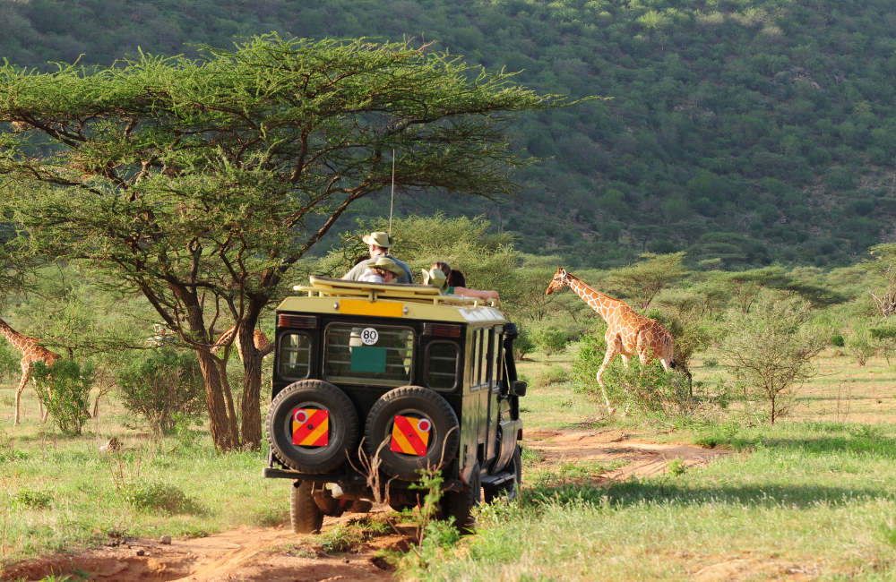 What Does the Mandatory Policy Actually Cover What Does the Mandatory Policy Actually Cover